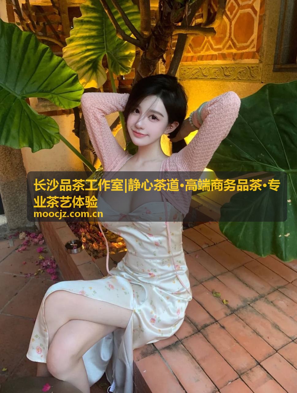 牛栏坑肉桂岩茶品鉴