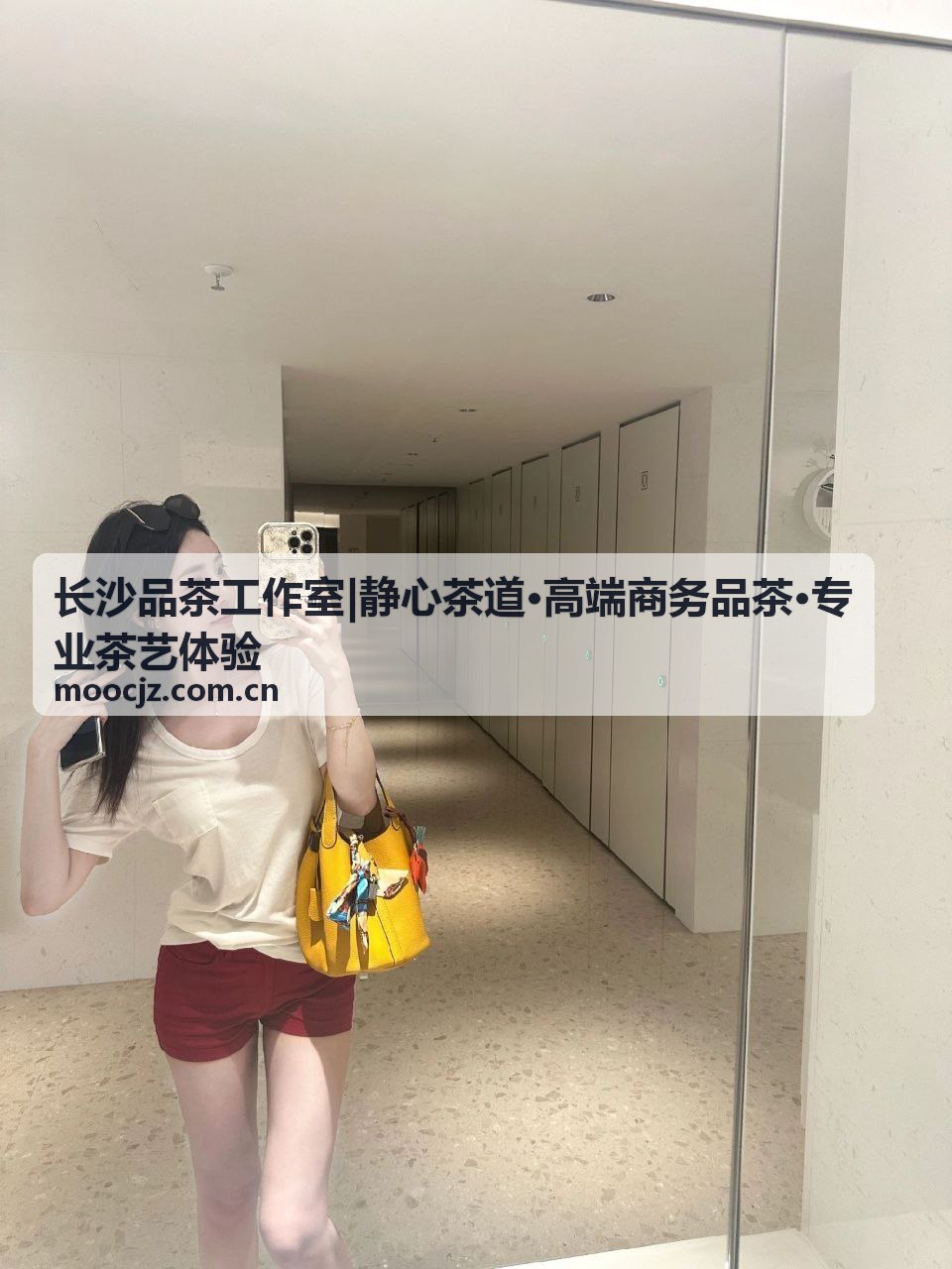 老班章普洱生茶品鉴